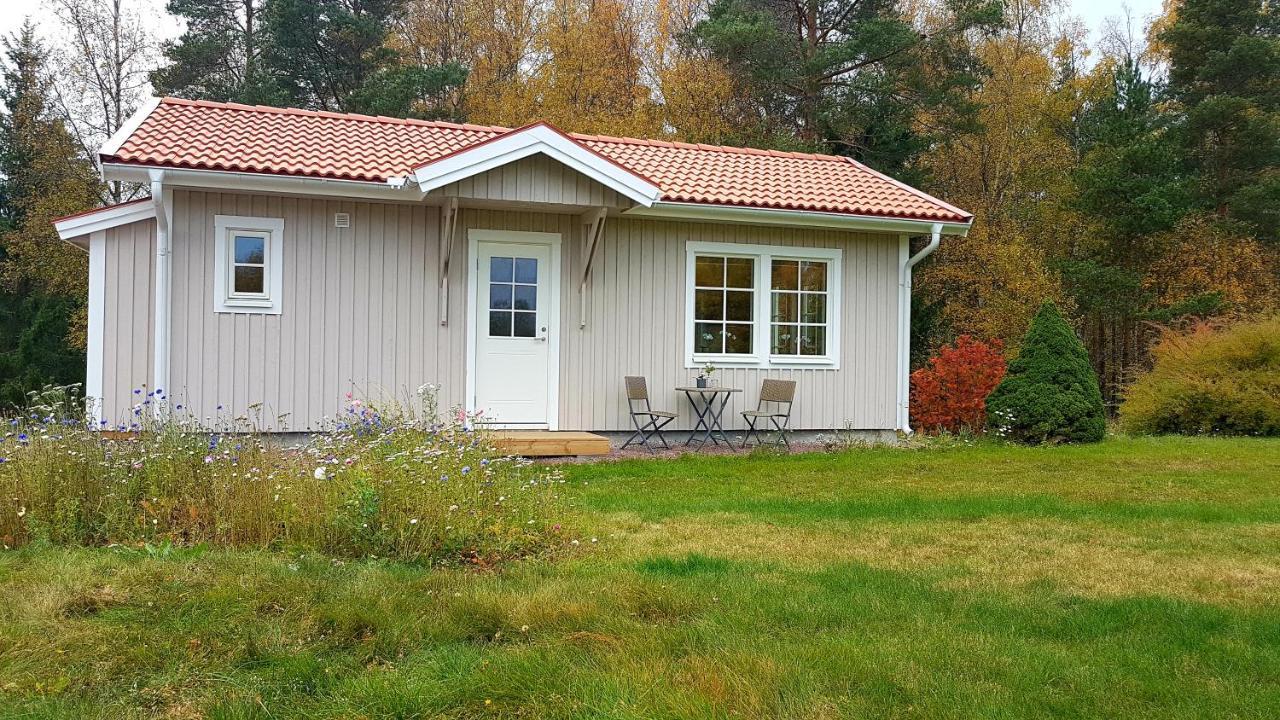 מורה Nybyggd Stuga Intill Skogsbrynet - New Built Cottage Next To The Cowberry Forest מראה חיצוני תמונה